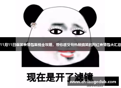 11月11日爆笑表情包集锦全攻略,带你感受最热最搞笑的网红表情包大汇总 11月11日爆笑表情包集锦全攻略,带你感受最热最搞笑的网红表情包大汇总