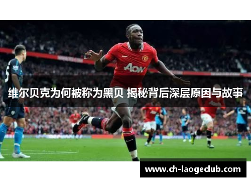 维尔贝克为何被称为黑贝 揭秘背后深层原因与故事