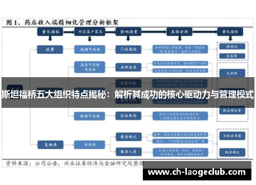 斯坦福桥五大组织特点揭秘：解析其成功的核心驱动力与管理模式