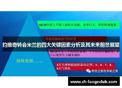 约维奇转会米兰的四大关键因素分析及其未来前景展望 约维奇转会米兰的四大关键因素分析及其未来前景展望