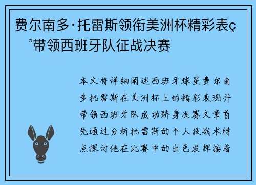 费尔南多·托雷斯领衔美洲杯精彩表现带领西班牙队征战决赛